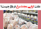 علت گرانی مجدد مرغ در بازار چیست؟