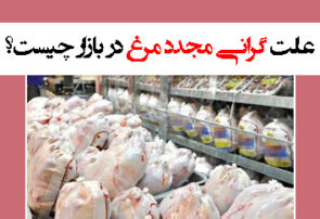 علت گرانی مجدد مرغ در بازار چیست؟