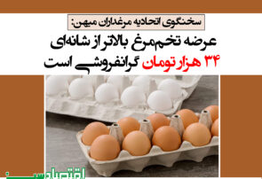 عرضه تخم‌مرغ بالاتر از شانه‌ای ‌۳۴ هزار تومان ‌گرانفروشی ‌است