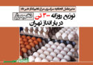 توزیع روزانه ۳۰۰ تن تخم‌مرغ در بار انداز تهران