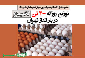 توزیع روزانه ۳۰۰ تن تخم‌مرغ در بار انداز تهران