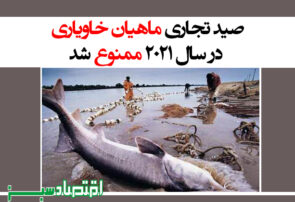 صید تجاری ماهیان خاویاری در سال ۲۰۲۱ ممنوع شد