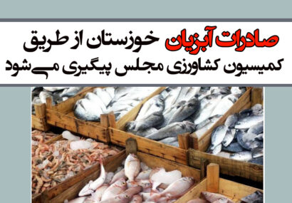 صادرات آبزیان خوزستان از طریق کمیسیون کشاورزی مجلس پیگیری می‌شود
