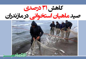 کاهش 31 درصدی صید ماهیان استخوانی در مازندران
