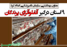 ۹ استان درگیر آنفلوآنزای پرندگان