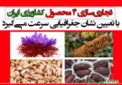 تجاری‌سازی ۴ محصول کشاورزی ایران با تعیین نشان جغرافیایی سرعت می‌گیرد
