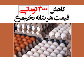 کاهش ۳۰۰۰ تومانی قیمت هر شانه تخم‌مرغ
