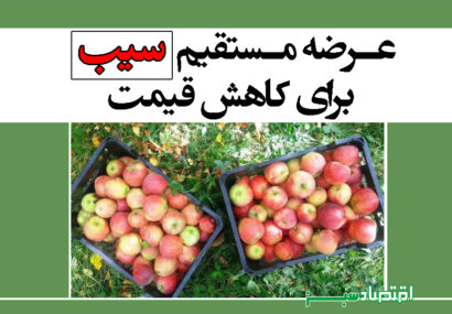 عرضه مستقیم سیب برای کاهش قیمت