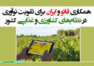 همکاری فائو و ایران برای تقویت نوآوری در نظام‌های کشاورزی و غذایی کشور