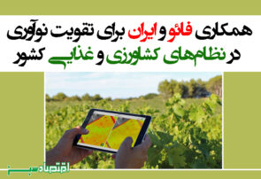 همکاری فائو و ایران برای تقویت نوآوری در نظام‌های کشاورزی و غذایی کشور