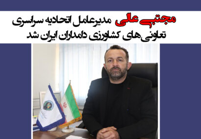مجتبی عالی مدیرعامل اتحادیه سراسری تعاونی‌های کشاورزی دامداران ایران شد
