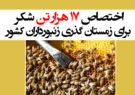 اختصاص ۱۷ هزار تن شکر برای زمستان گذری زنبورداران کشور