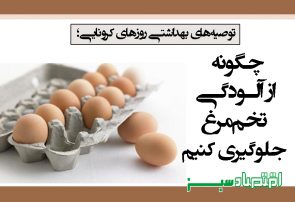چگونه از آلودگی تخم‌مرغ جلوگیری کنیم
