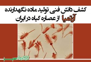 کشف دانش فنی تولید ماده نگهدارنده آرتمیا از عصاره گیاه در ایران