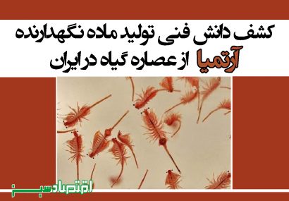 کشف دانش فنی تولید ماده نگهدارنده آرتمیا از عصاره گیاه در ایران