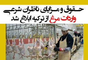 حقوق و مزایای ناظران شرعی واردات مرغ از ترکیه ابلاغ شد + سند