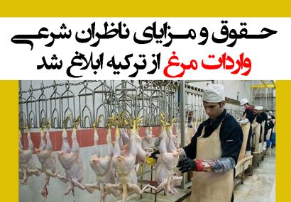 حقوق و مزایای ناظران شرعی واردات مرغ از ترکیه ابلاغ شد + سند