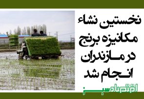 نخستین نشاء مکانیزه برنج در مازندران انجام شد