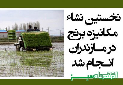نخستین نشاء مکانیزه برنج در مازندران انجام شد