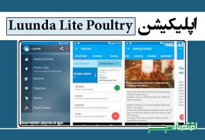 اپلیکیشن Luunda Lite Poultry