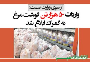 واردات ۵۰ هزار تن گوشت مرغ به گمرک ابلاغ شد + سند