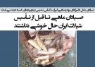 صیادان ماهی تا قبل از تأسیس شیلات ایران حال خوشی نداشتند