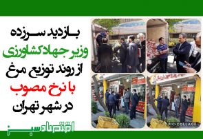 بازدید ‌سرزده‌ وزیر‌ جهاد‌کشاورزی از روند توزیع مرغ با نرخ مصوب در شهر تهران