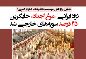 نژاد ایرانی «مرغ اجداد» جایگزین ۴۵ درصد سویه‌های خارجی شد