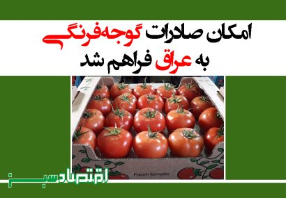 امکان صادرات گوجه‌فرنگی به عراق فراهم شد+ سند