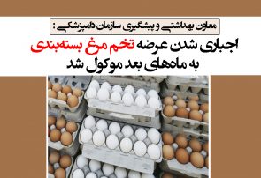 اجباری شدن عرضه تخم‌مرغ بسته‌بندی به ماه‌های بعد موکول شد