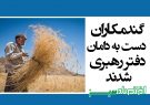 گندمکاران دست به دامان دفتر رهبری شدند + سند