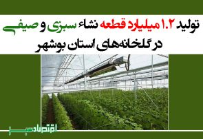 تولید ۱.۲ میلیارد قطعه نشاء سبزی و صیفی در گلخانه‌های استان بوشهر