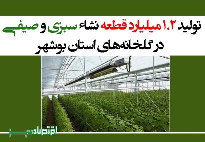 تولید ۱.۲ میلیارد قطعه نشاء سبزی و صیفی در گلخانه‌های استان بوشهر