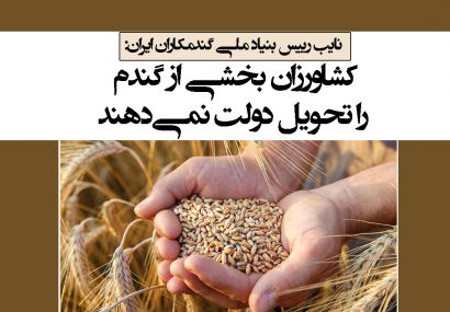 کشاورزان بخشی از گندم را تحویل دولت نمی‌دهند