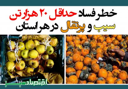 خطر فساد حداقل ۲۰ هزار تن سیب و پرتقال در هر استان/ راهی جز دفن میوه‌ها نداریم