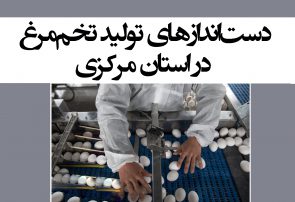 دست‌اندازهای تولید تخم‌مرغ در استان مرکزی