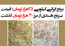 برنج ایرانی کیلویی ۴۵هزار تومان؛ قیمت برنج هندی از مرز ۳۰ هزار تومان گذشت