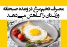 مصرف تخم‌مرغ در وعده صبحانه، وزنتان را کاهش می‌دهد