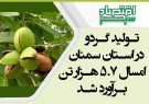 تولید گردو در استان سمنان امسال ۵.۷ هزار تن برآورد شد