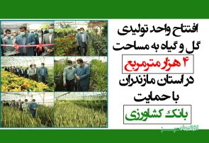 افتتاح واحد تولیدی گل و گیاه به مساحت 4 هزار متر‌مربع در استان مازندران با حمایت بانک کشاورزی