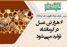۶ هزار تن عسل در کرمانشاه تولید می‌شود