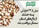 بیش از ۳۳ هزار تُن پسته خشک از باغ‌های استان سمنان برداشت شد