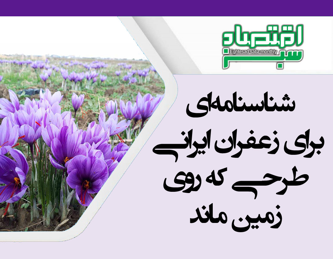 شناسنامه‌ای برای زعفران ایرانی؛ طرحی که روی زمین ماند | پایگاه خبری اقتصاد سبز آنلاین