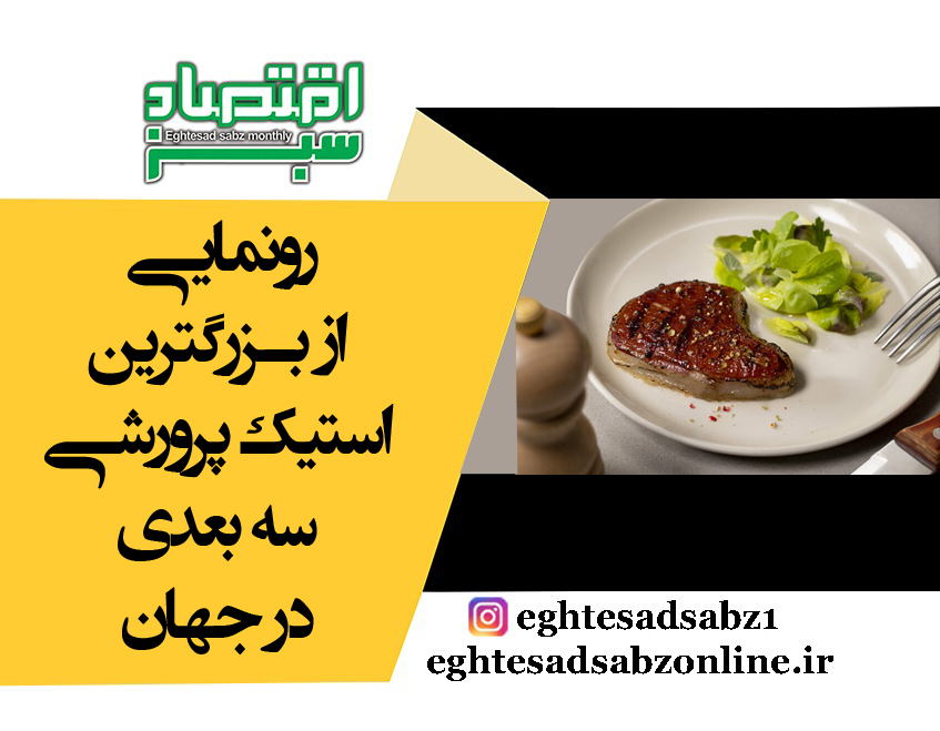 رونمایی از بزرگترین استیک پرورشی سه ‌بعدی در جهان | پایگاه خبری اقتصاد سبز آنلاین
