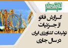 گزارش فائو از جزئیات تولیدات کشاورزی ایران در سال جاری/ تولید گندم ایران ۴ میلیون تن افزایش می یابد