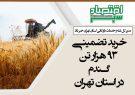 خرید تضمینی ۹۳ هزار تن گندم در استان تهران