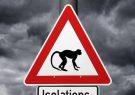 توصیه‌های وزارت بهداشت درباره آبله میمونی