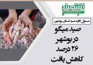 صید میگو در بوشهر ۲۶ درصد کاهش یافت