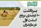 برداشت ۱۰۰ درصدی برنج کشت اول در مازندران