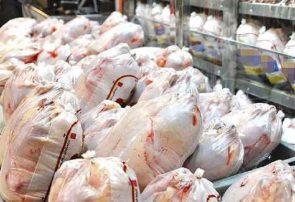 ۴ مصوبه مهم برای افزایش تولید مرغ/ پیش‌بینی کاهش بیشتر قیمت مرغ طی هفته‌های آتی